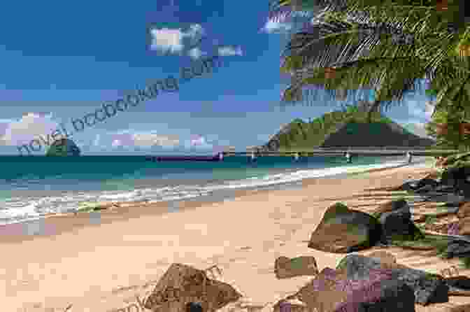 A Beautiful Beach In Martinique The Island Hopping Digital Guide To The Windward Islands Part I Martinique