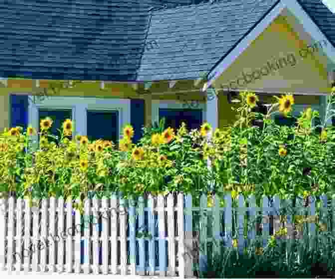 A Beautiful House Surrounded By Sunflowers A House In The Sunflowers (The Sunflowers Trilogy 1)
