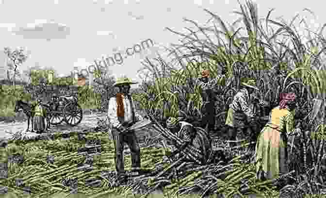 A Group Of Slaves Working On A Plantation. The ABCs Of Black History