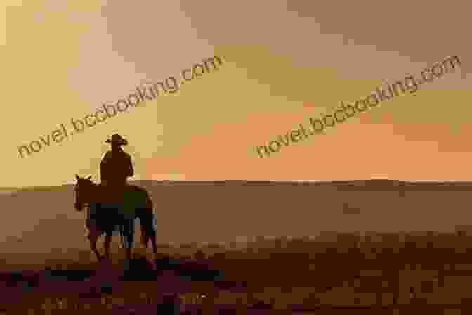 A Lone Cowboy On Horseback, Riding Through A Desolate Western Landscape A Stranger In Town (A Will Tanner Western 2)