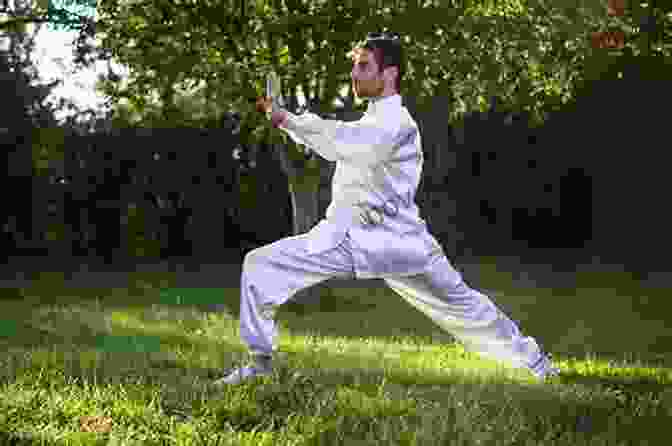 A Person Performing Qigong Exercises In Nature The Dao De Jing: A Qigong Interpretation