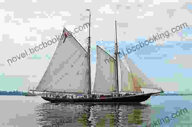 A Photograph Of The Bluenose, A Majestic Canadian Schooner Known For Her Impressive Speed And Victories In International Races Sailing For Glory: The Story Of Captain Angus Walters And The Bluenose (Stories Of Canada 10)