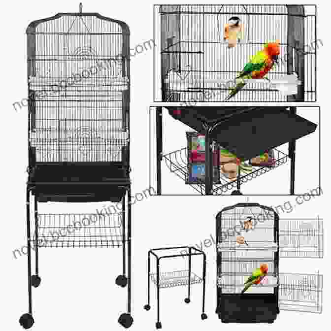 A Spacious Cage Equipped For A Cockatiel COCKATIEL: The Beginners Guide To Caring For Your Cockatiel As A Pet