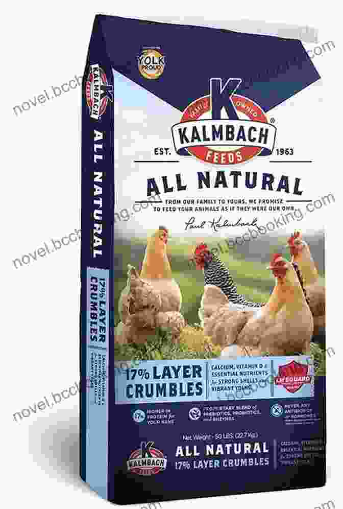 A Variety Of Chicken Feed And Supplements An Absolute Beginner S Guide To Keeping Backyard Chickens: Watch Chicks Grow From Hatchlings To Hens
