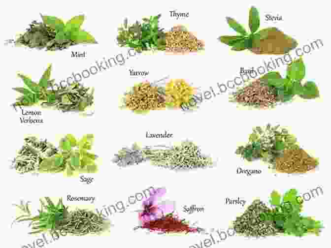 A Variety Of Herbs And Spices Used In Herbal Remedies A SHAMAN S TRUE TALES HERBAL REMEDIES