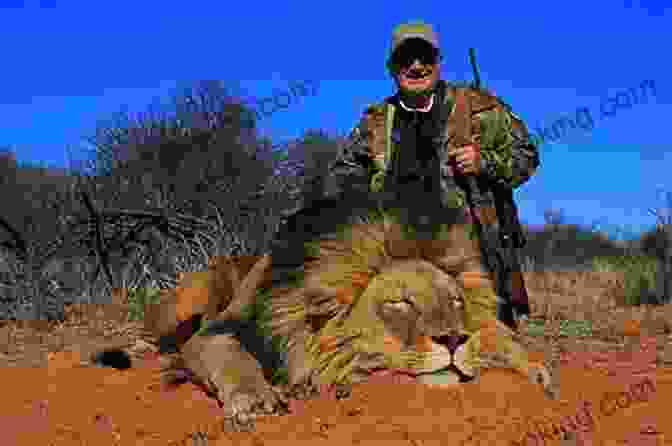 An African Lion Hunting The African Lion (A Hunter S Trails And A Hunter S Tales)