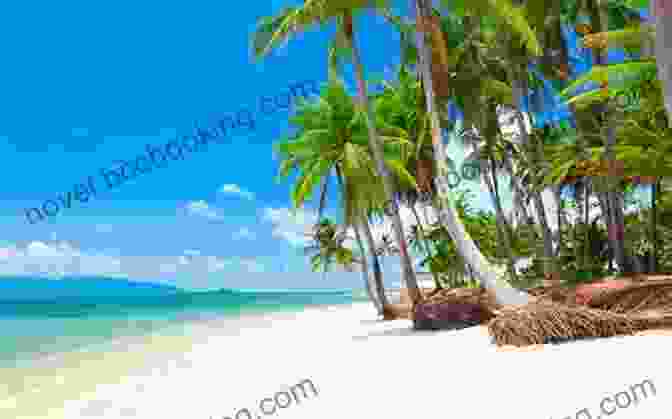 Beautiful Beach In Koh Samui With Palm Trees And Turquoise Water The Rough Guide To Thailand S Beaches And Islands (Travel Guide EBook)