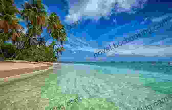 Beautiful Beach In Tobago The Rough Guide To Trinidad And Tobago (Travel Guide EBook)
