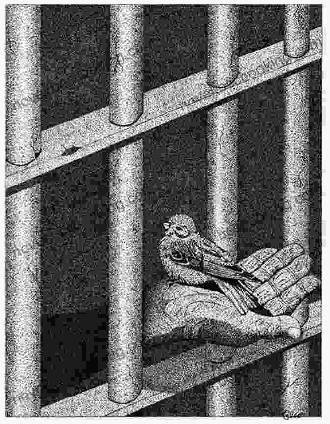 Book Cover Of The Prisoner And The Kings, Depicting A Man Imprisoned Behind Bars The Prisoner And The Kings: How One Man Changed The Course Of History