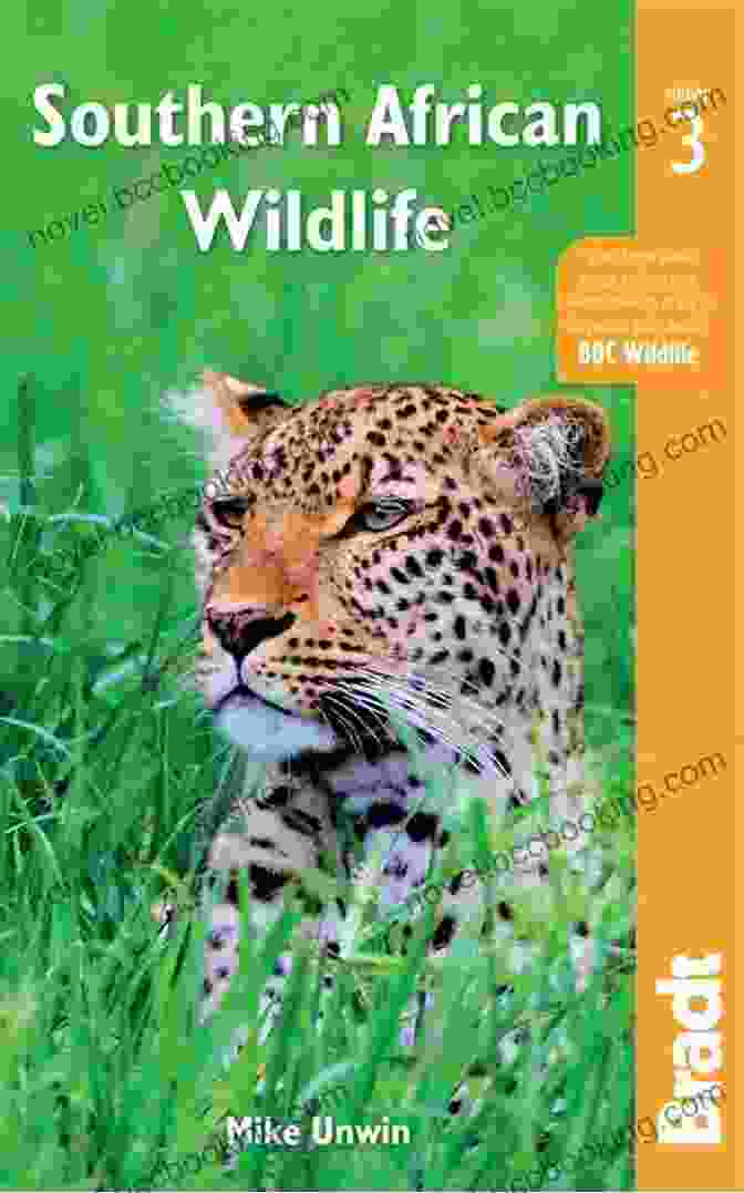 Conservation Efforts Highlighted In Guide To The Wildlife Bradt Travel Guides Wildlife Guides Antarctica: A Guide To The Wildlife (Bradt Travel Guides (Wildlife Guides))