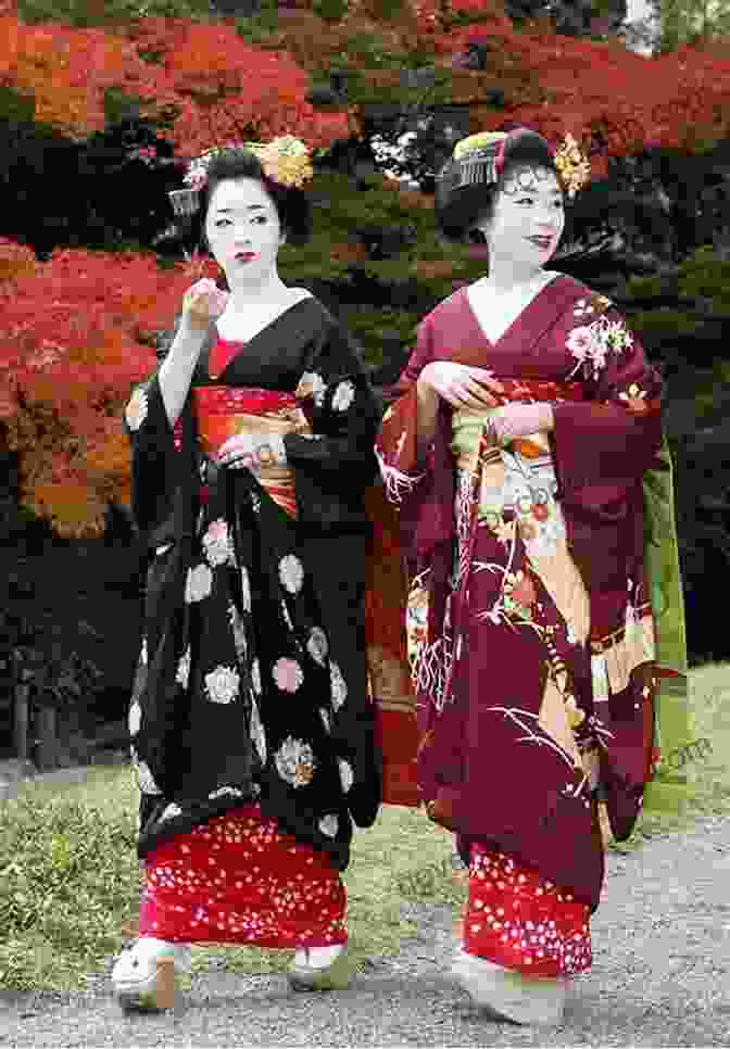 Geisha In Traditional Attire Rough Guide To Japan (Travel Guide EBook) (Rough Guides)