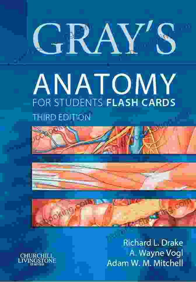 Gray's Anatomy For Students Flash Cards Book Gray S Anatomy For Students Flash Cards E Book: With STUDENT CONSULT Online Access