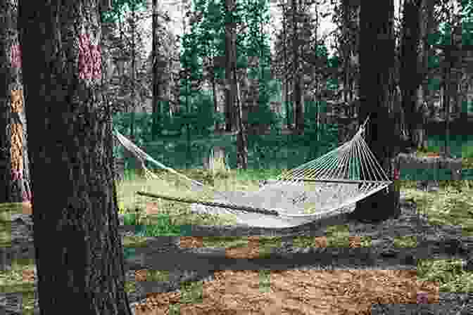 Hanging In Hammock In The Truong Son Forest The Two Of You Are At Two Far Ends Book Cover Friend In The Mountains: Hanging In A Hammock In The Truong Son Forest The Two Of You Are At Two Far Ends