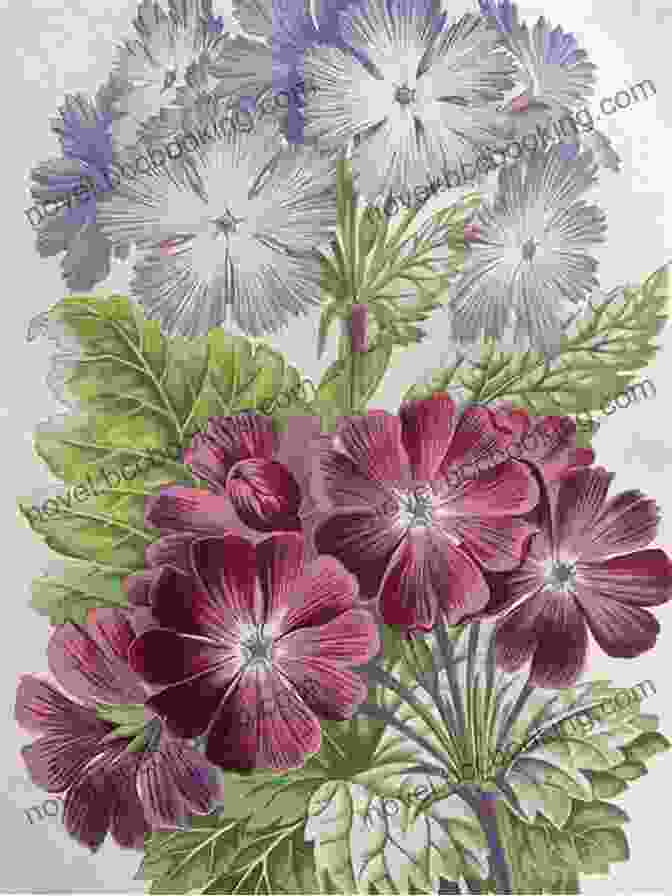 Intricate Botanical Illustration Of An Exotic Flower With Vibrant Colors And Detailed Petals. Exotic Flowers For Artists And Craftspeople (Dover Pictorial Archive)