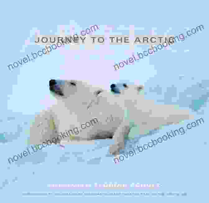 Journey To The Arctic Book Cover Journey To The Arctic: The True Story Of The Disastrous 1871 Mission To The North Pole