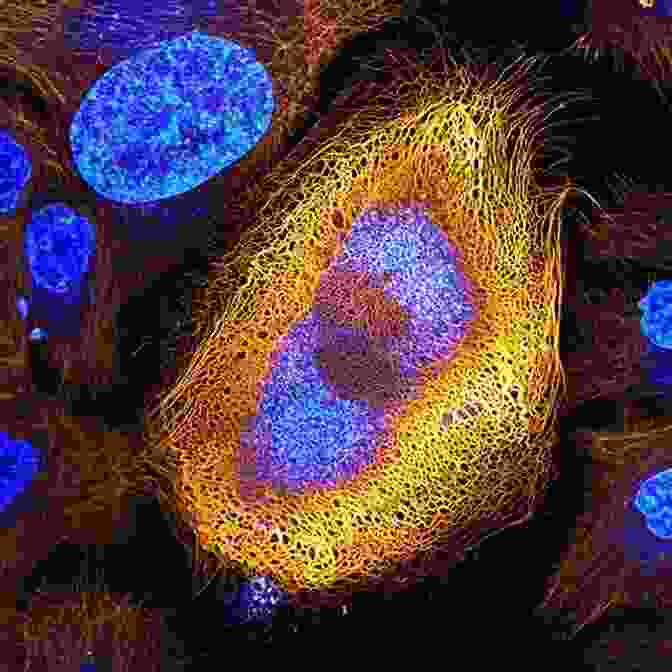 Microscopic Image Of Human Cells Human Nature And The Evolution Of Society