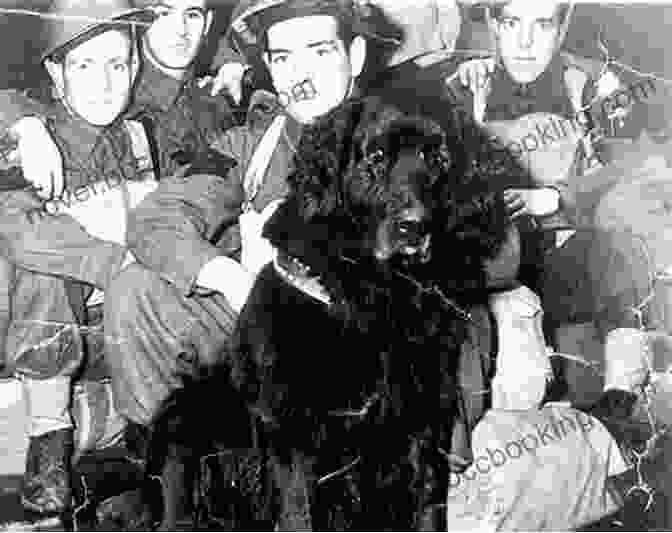 Sergeant Gander, A Canadian Hero Posing With A Group Of Soldiers Sergeant Gander: A Canadian Hero