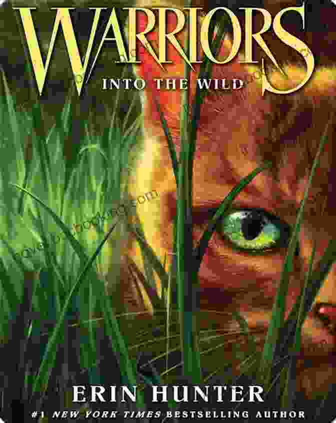 Steppin' With Benji Marshall: Reading Warriors Book Cover Steppin With Benji Marshall (Reading Warriors)