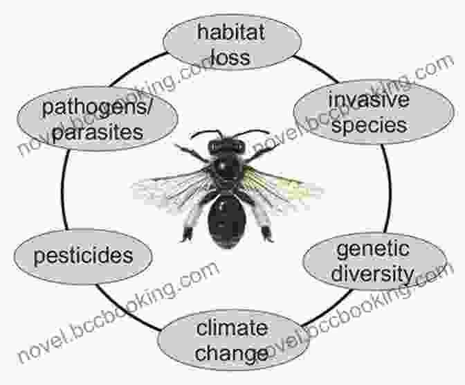 Symbolic Representation Of The Threats Facing Bees, Such As Habitat Loss And Pesticide Use Bees (The World Of Insects)