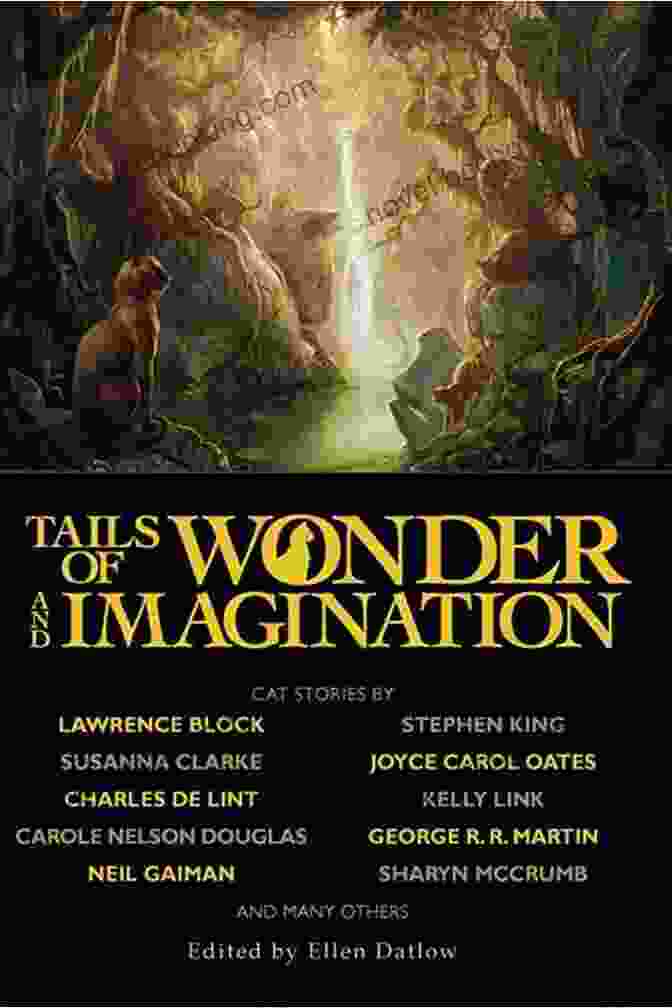 Tails Of Wonder And Imagination A Book Of Enchanting Tales Tails Of Wonder And Imagination