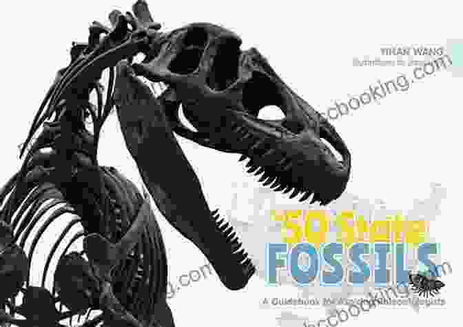 The 50 State Fossils Guidebook Cover The 50 State Fossils: A Guidebook For Aspiring Paleontologists