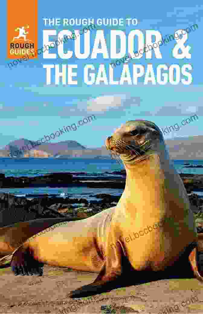 The Rough Guide To Ecuador And The Galapagos Travel Guide Ebook The Rough Guide To Ecuador The Galapagos (Travel Guide EBook) (Rough Guides)