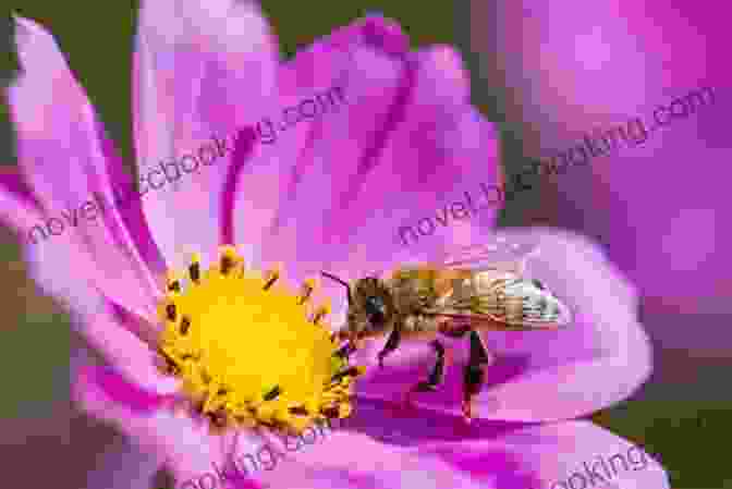 Vibrant Close Up Of A Bee Pollinating A Delicate Flower Bees (The World Of Insects)