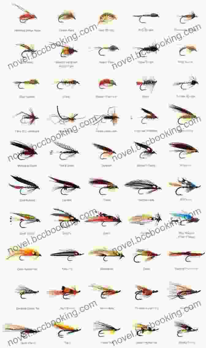 Vibrant Collage Of Various Fish Species Commonly Targeted By Fly Fishers Go Fish All About Fly Fishing