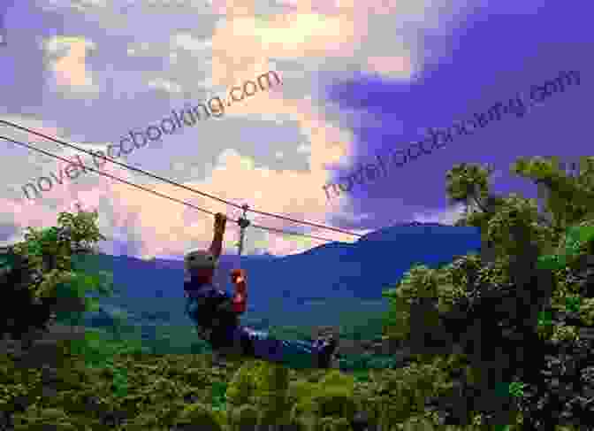 Zip Lining Adventure Through The Rainforest Of Puerto Rico Frommer S EasyGuide To Puerto Rico (Easy Guides)