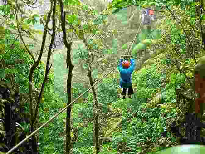Zip Lining Through The Rainforest Canopy In Costa Rica The Rough Guide To Costa Rica (Travel Guide EBook)