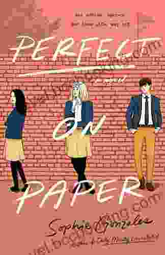 Perfect On Paper: A Novel