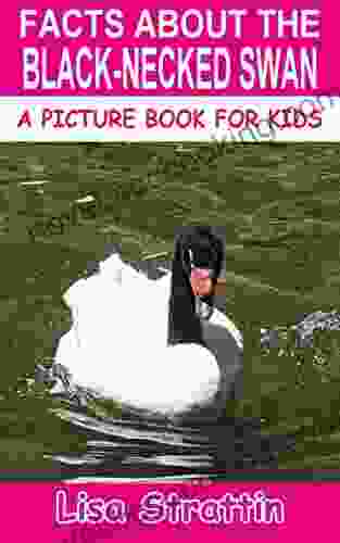 Facts About The Black Necked Swan (A Picture For Kids 452)
