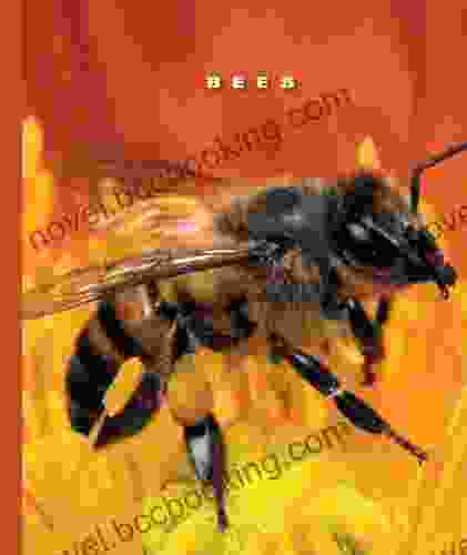 Bees (The World Of Insects)