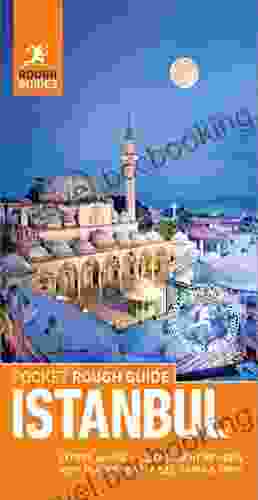 Pocket Rough Guide Istanbul (Travel Guide EBook): (Travel Guide With Free EBook) (Rough Guides Pocket)