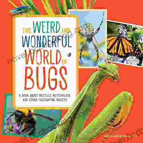 The Weird And Wonderful World Of Bugs: A About Beetles Butterflies And Other Fascinating Insects